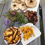 Caloroczne Perelka Lubiatowska شقة *