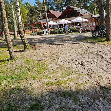 Caloroczne Perelka Lubiatowska Lubiatowo (Pomerania)