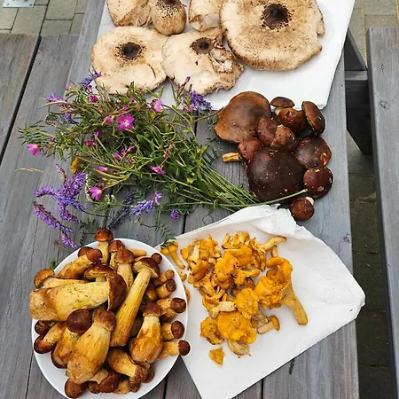 Caloroczne Perelka Lubiatowska Apartamento *