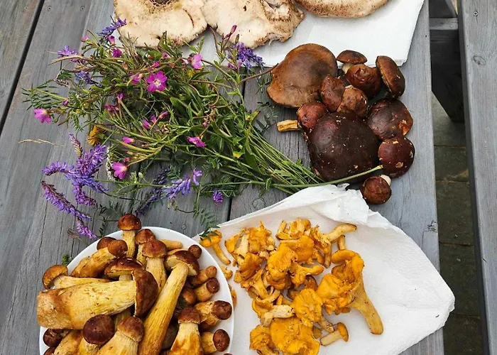 Caloroczne Perelka Lubiatowska Apartamento *