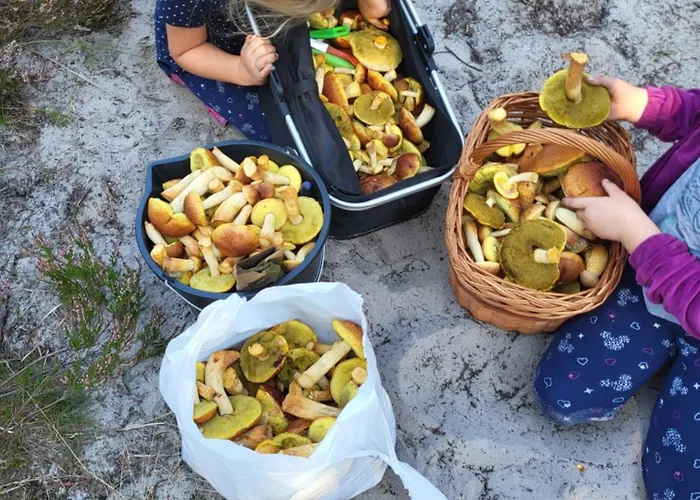 Caloroczne Perelka Lubiatowska Apartamento *